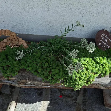 Апартаменты Plattnerhof *